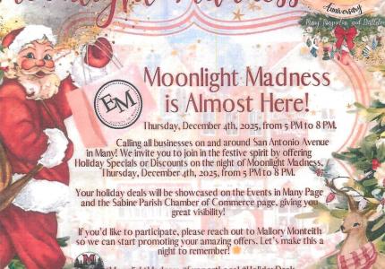 Flyer for Moonlight Madness 2025