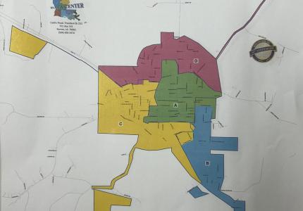 Town of Many District Map